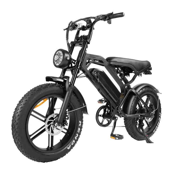 Onderhoudsbeurt Fatbike