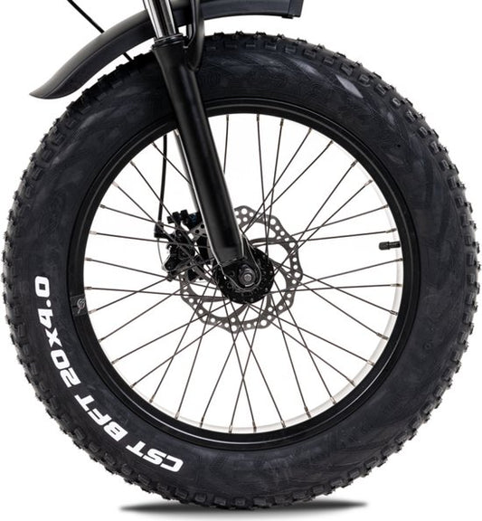 Vervangen (binnen)band Fatbike
