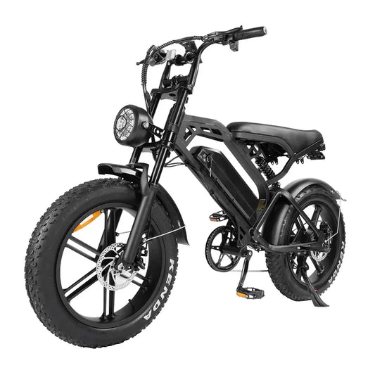Onderhoudsbeurt Fatbike