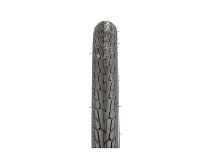 Schwalbe Road Cruiser