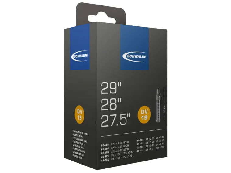 Schwalbe DV19